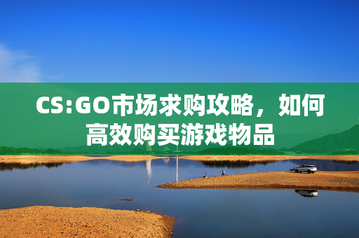 CS:GO市场求购攻略，如何高效购买游戏物品