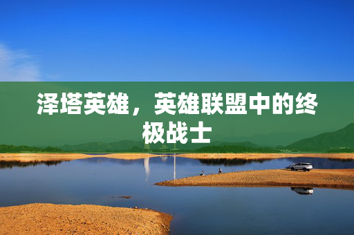 泽塔英雄，英雄联盟中的终极战士