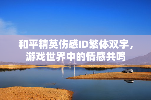 和平精英伤感ID繁体双字，游戏世界中的情感共鸣