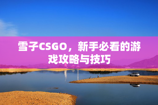 雪子CSGO，新手必看的游戏攻略与技巧