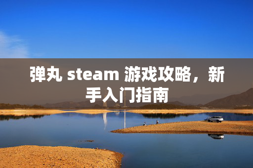 弹丸 steam 游戏攻略，新手入门指南