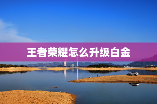王者荣耀怎么升级白金