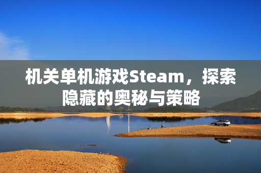 机关单机游戏Steam，探索隐藏的奥秘与策略
