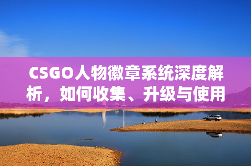 CSGO人物徽章系统深度解析，如何收集、升级与使用