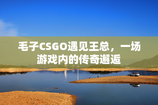 毛子CSGO遇见王总，一场游戏内的传奇邂逅