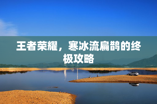 王者荣耀，寒冰流扁鹊的终极攻略