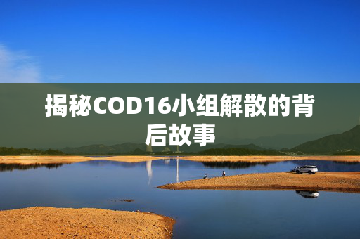 揭秘COD16小组解散的背后故事