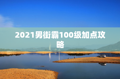 2021男街霸100级加点攻略