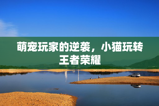 萌宠玩家的逆袭，小猫玩转王者荣耀
