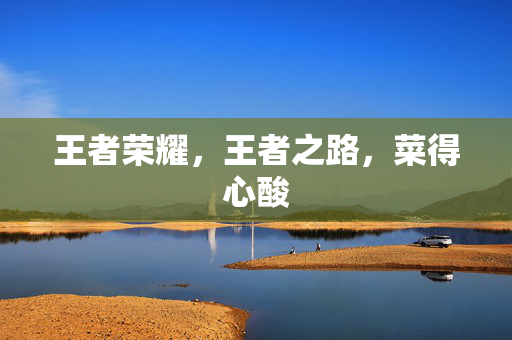 王者荣耀，王者之路，菜得心酸