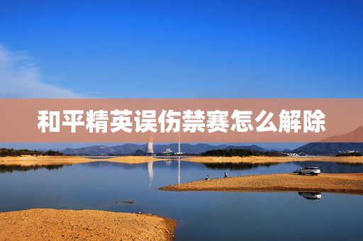 和平精英误伤禁赛怎么解除