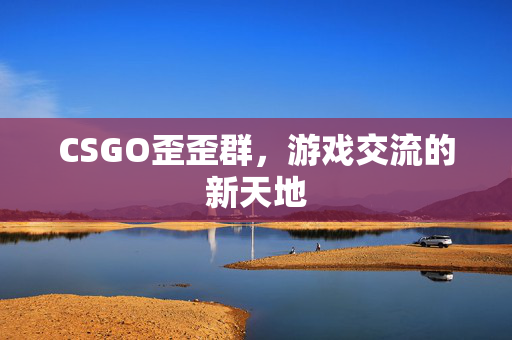 CSGO歪歪群，游戏交流的新天地
