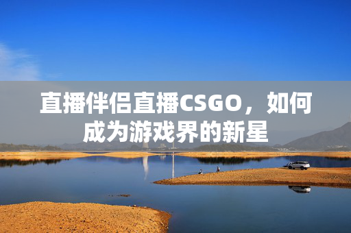 直播伴侣直播CSGO，如何成为游戏界的新星
