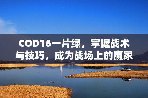 COD16一片绿，掌握战术与技巧，成为战场上的赢家