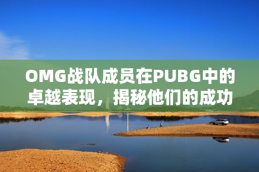 OMG战队成员在PUBG中的卓越表现，揭秘他们的成功秘诀
