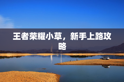 王者荣耀小草，新手上路攻略