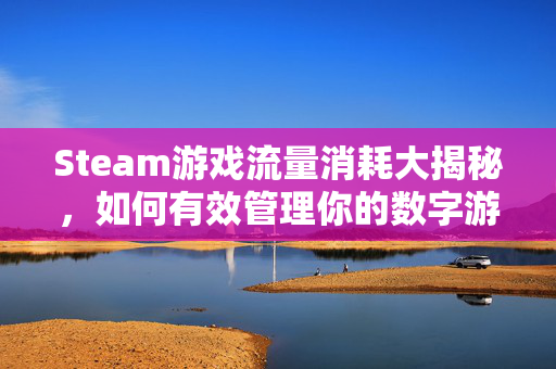 Steam游戏流量消耗大揭秘，如何有效管理你的数字游牧生活