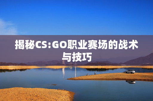 揭秘CS:GO职业赛场的战术与技巧