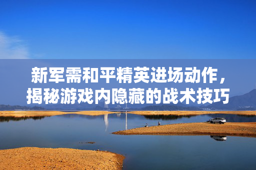 新军需和平精英进场动作，揭秘游戏内隐藏的战术技巧