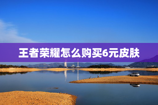 王者荣耀怎么购买6元皮肤