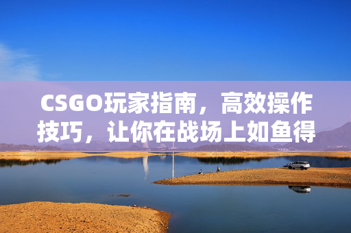 CSGO玩家指南，高效操作技巧，让你在战场上如鱼得水