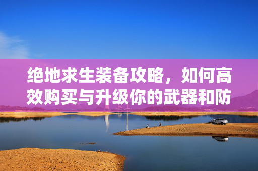 绝地求生装备攻略，如何高效购买与升级你的武器和防具
