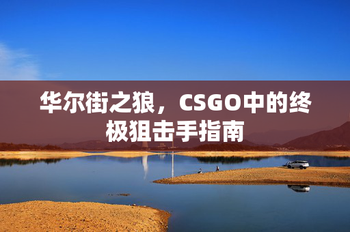 华尔街之狼，CSGO中的终极狙击手指南