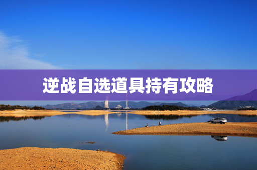 逆战自选道具持有攻略