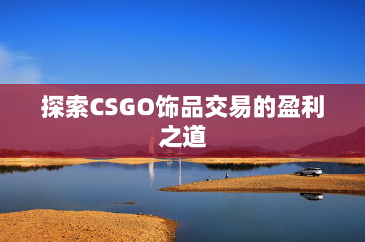 探索CSGO饰品交易的盈利之道