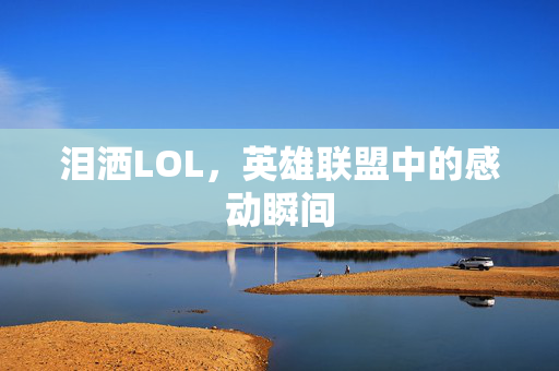泪洒LOL，英雄联盟中的感动瞬间