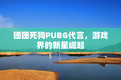 团团死狗PUBG代言，游戏界的新星崛起