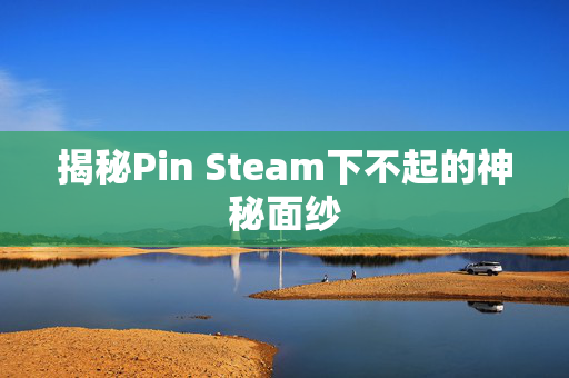 揭秘Pin Steam下不起的神秘面纱