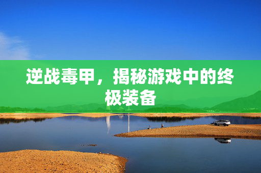逆战毒甲，揭秘游戏中的终极装备