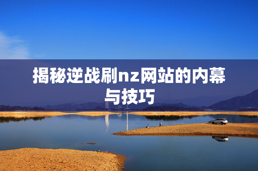 揭秘逆战刷nz网站的内幕与技巧