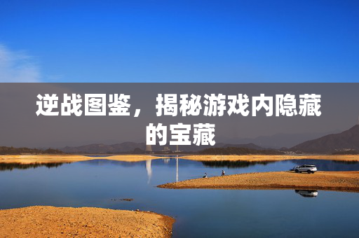逆战图鉴，揭秘游戏内隐藏的宝藏