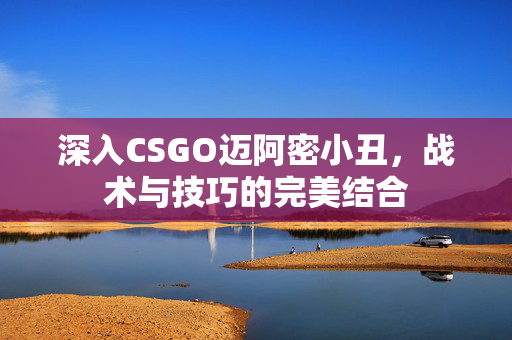 深入CSGO迈阿密小丑，战术与技巧的完美结合