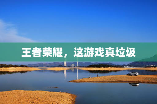 王者荣耀，这游戏真垃圾