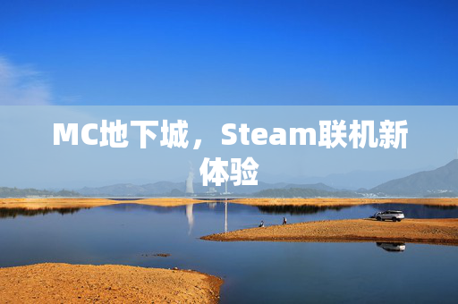 MC地下城，Steam联机新体验