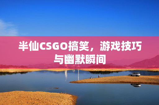 半仙CSGO搞笑，游戏技巧与幽默瞬间