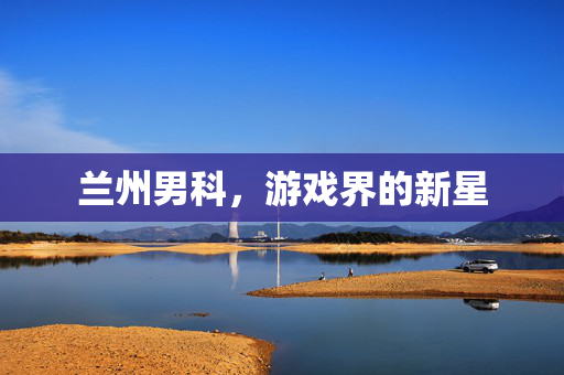 兰州男科，游戏界的新星