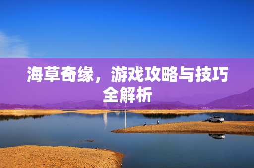 海草奇缘，游戏攻略与技巧全解析