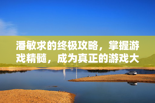 潘敏求的终极攻略，掌握游戏精髓，成为真正的游戏大师