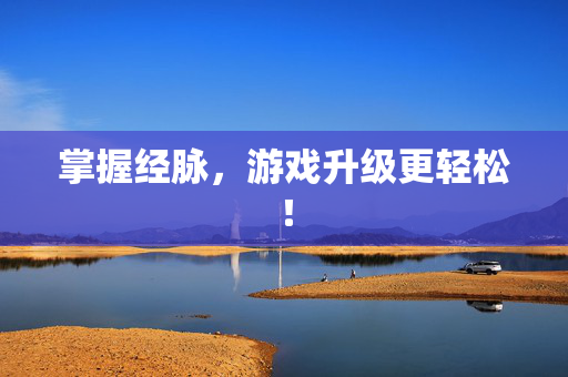 掌握经脉，游戏升级更轻松！