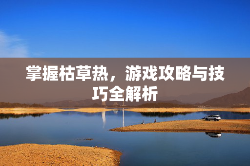 掌握枯草热，游戏攻略与技巧全解析