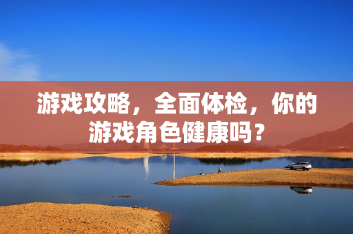 游戏攻略，全面体检，你的游戏角色健康吗？