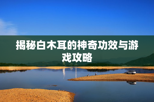 揭秘白木耳的神奇功效与游戏攻略
