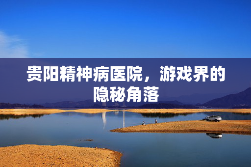 贵阳精神病医院，游戏界的隐秘角落