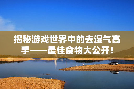 揭秘游戏世界中的去湿气高手——最佳食物大公开！