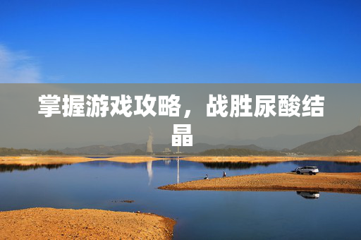 掌握游戏攻略，战胜尿酸结晶