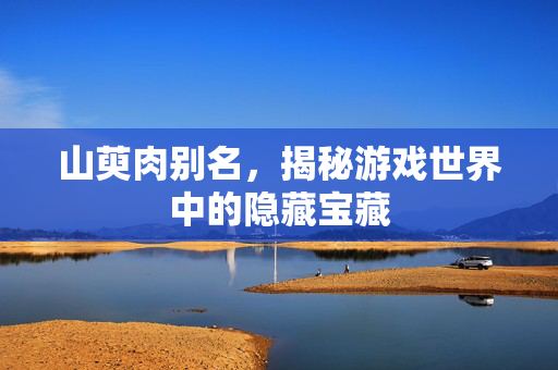 山萸肉别名，揭秘游戏世界中的隐藏宝藏